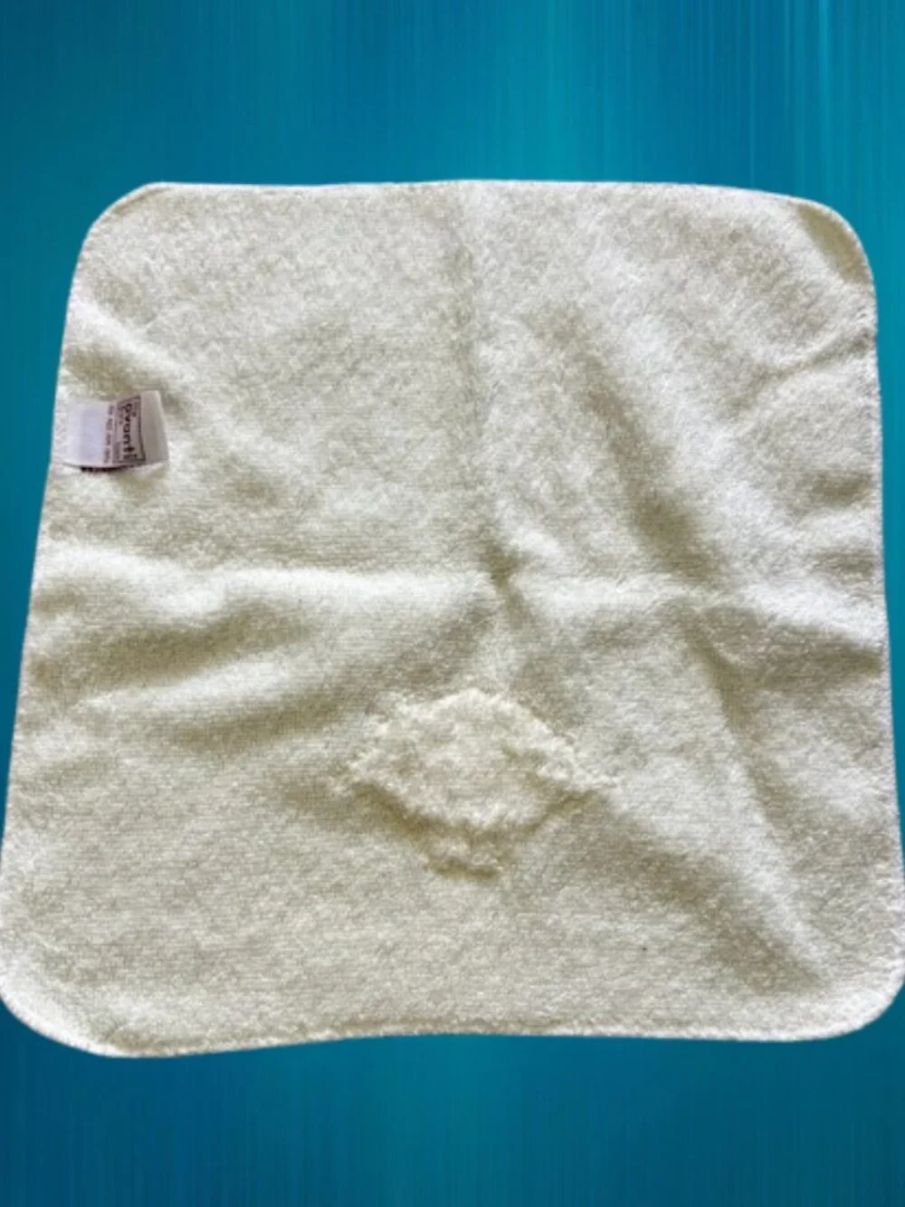Coordinated Pair of Seashell Themed Washcloth Towels